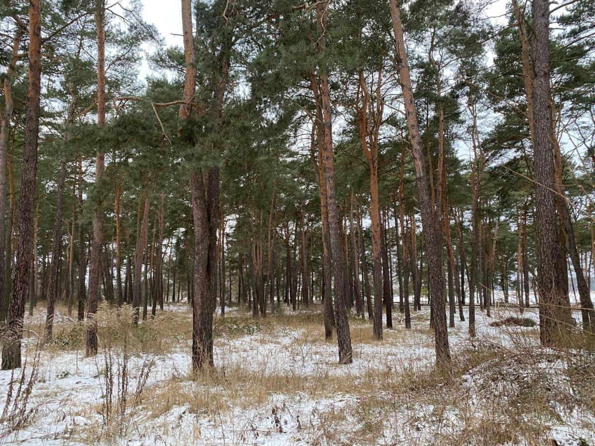Apartment Family & Business Sauna Teznia Apartments: Woodland Retreat With Private Wellness