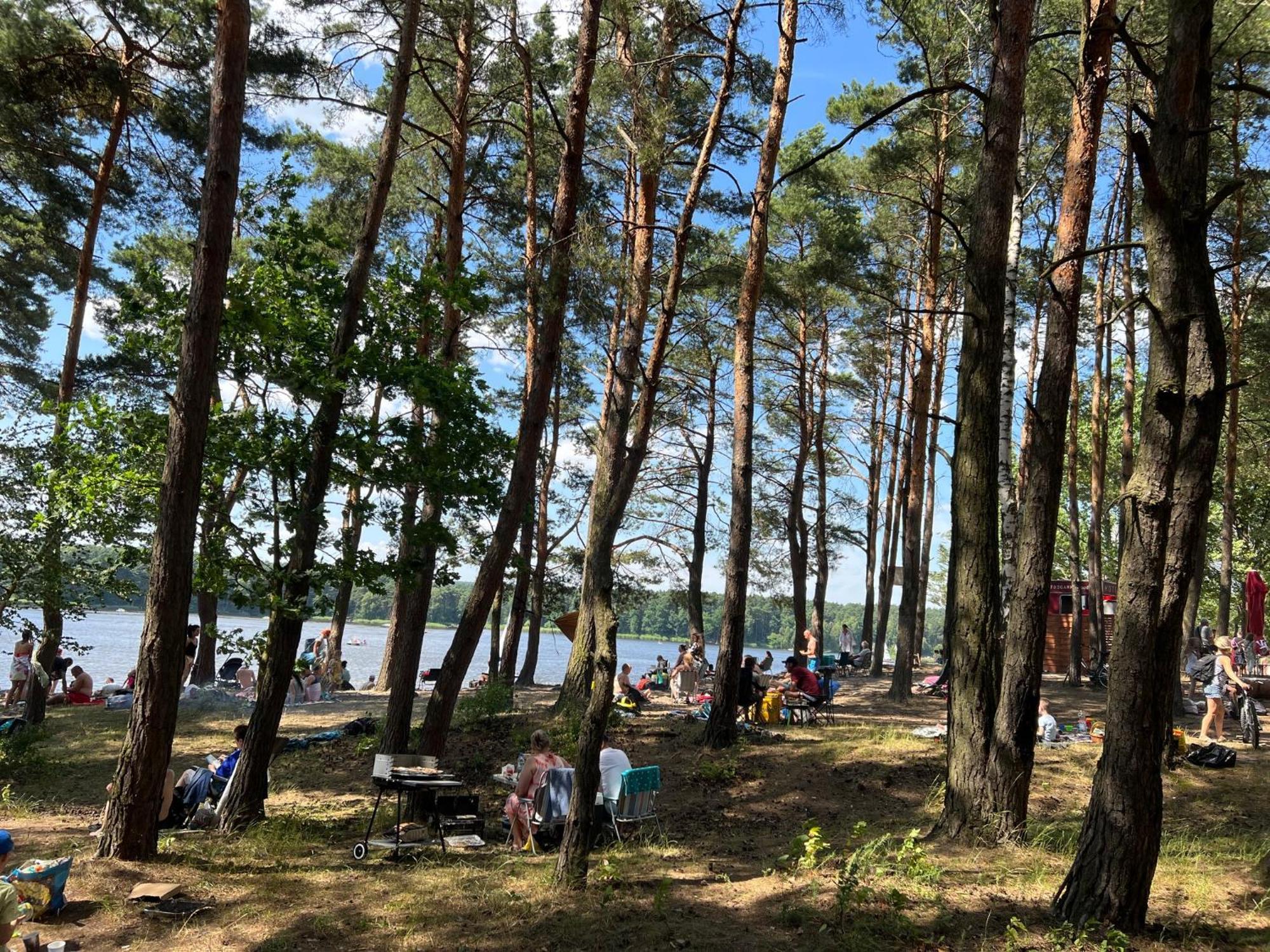 Family & Business Sauna Teznia Apartments: Woodland Retreat With Private Wellness Apartment Kielce